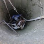 www.myvin.com.ua