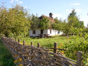 pirogovo.com.ua