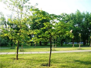 www.interbuh.com.ua