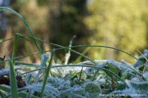 shablin.livejournal.com