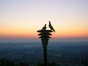 ipress.ua
