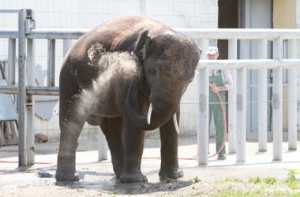 kiev-ukr.segodnya.ua