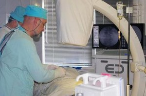 kiev-ukr.segodnya.ua