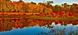 freequotesimages.com