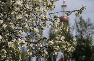 kiev-ukr.segodnya.ua