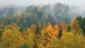 icons.wunderground.com