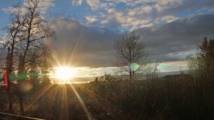 ingaphotography.files.wordpress.com