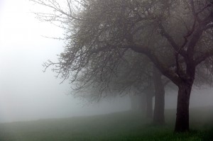 naturladen-online.de