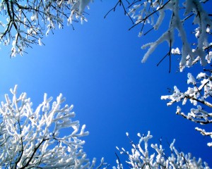 sunhome.ru