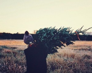inspired.com.ua