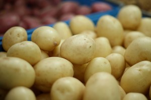 New Zealand Budget 2010 Preview