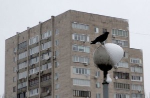 ukr.segodnya.ua