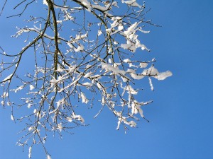 gerhardlaukoetter.files.wordpress.com