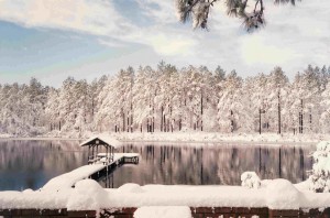 readersrecommend.files.wordpress.com