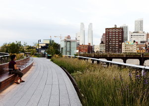 Створення школи світового значення в Україні – головна мета проекту. Фото: school.canactions.com