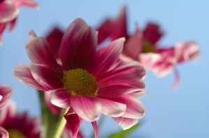 image.tsn.ua
