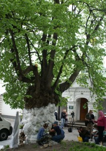 control.eveningkiev.com