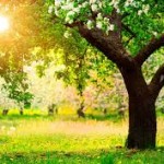 bibliograflviv.blogspot.com