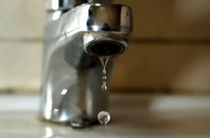 kiev-ukr.segodnya.ua