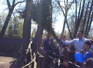 img.kiev.pravda.com.ua