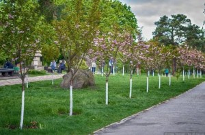 kiev-ukr.segodnya.ua