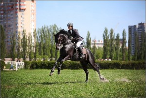 Фото: Наталія Куцуренко/vk.com/kiev.hippodrom