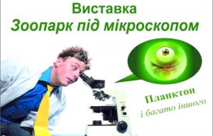 kidsonly.com.ua