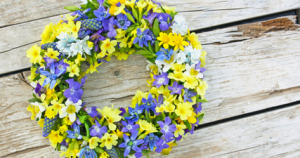 family.kvastaras.com.ua