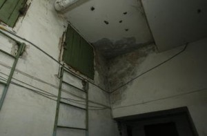 kiev-ukr.segodnya.ua