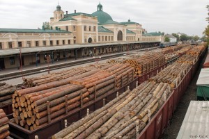 tomenko.ua