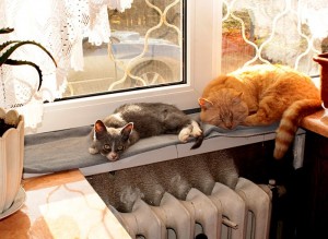 Фото: Ірина Рудська/EpochTimes.com.ua