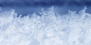 Frost crystals in closeup.